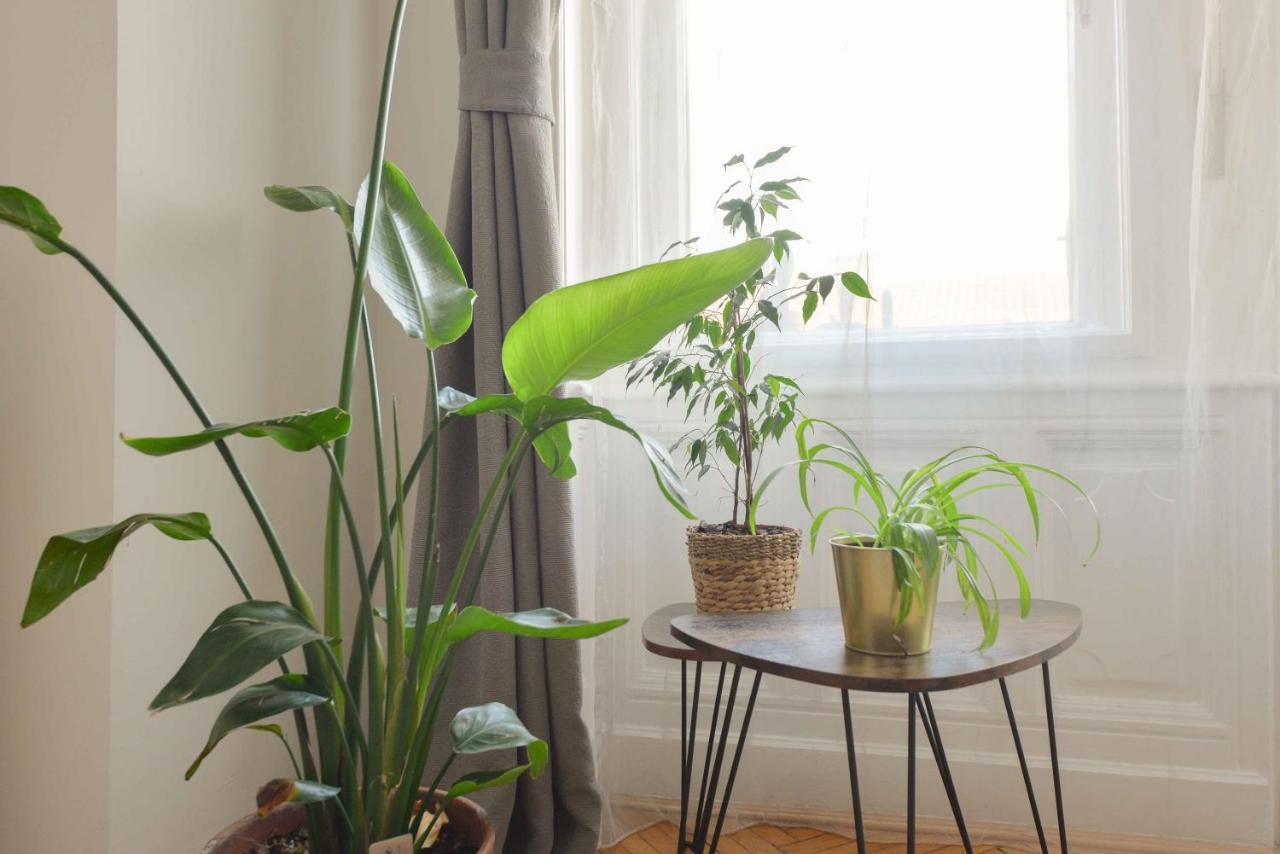Dohany Design Apartments Budapeşte Dış mekan fotoğraf